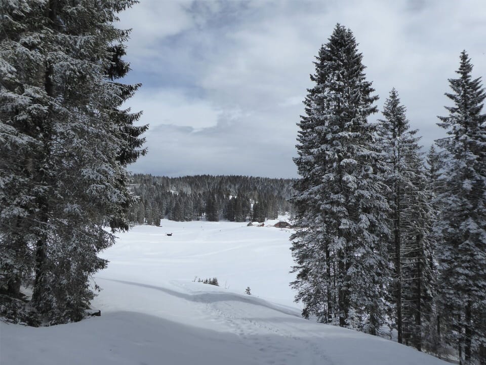 Activities, Autumn, Outdoor, Spring, Summer