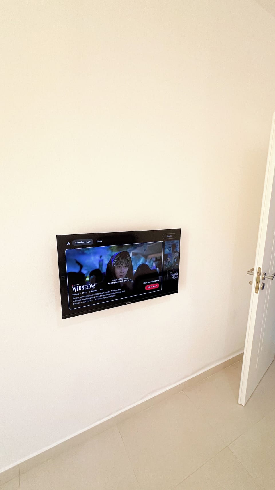 Television
