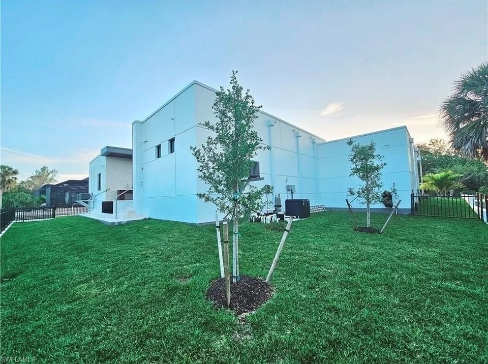 back yard