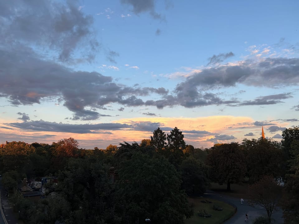 View of the park at sunset 