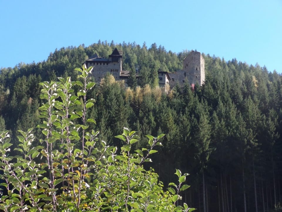 View from Holiday Home [summer]