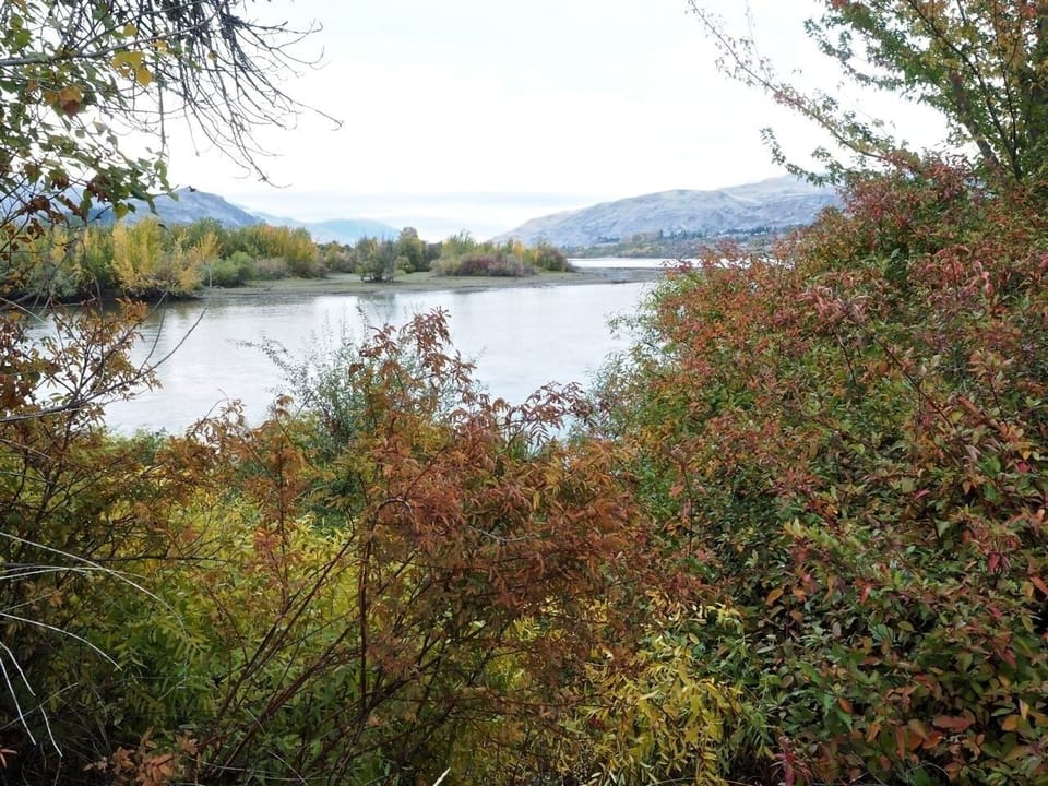 Escape outside for a peaceful riverside stroll among fall colors.