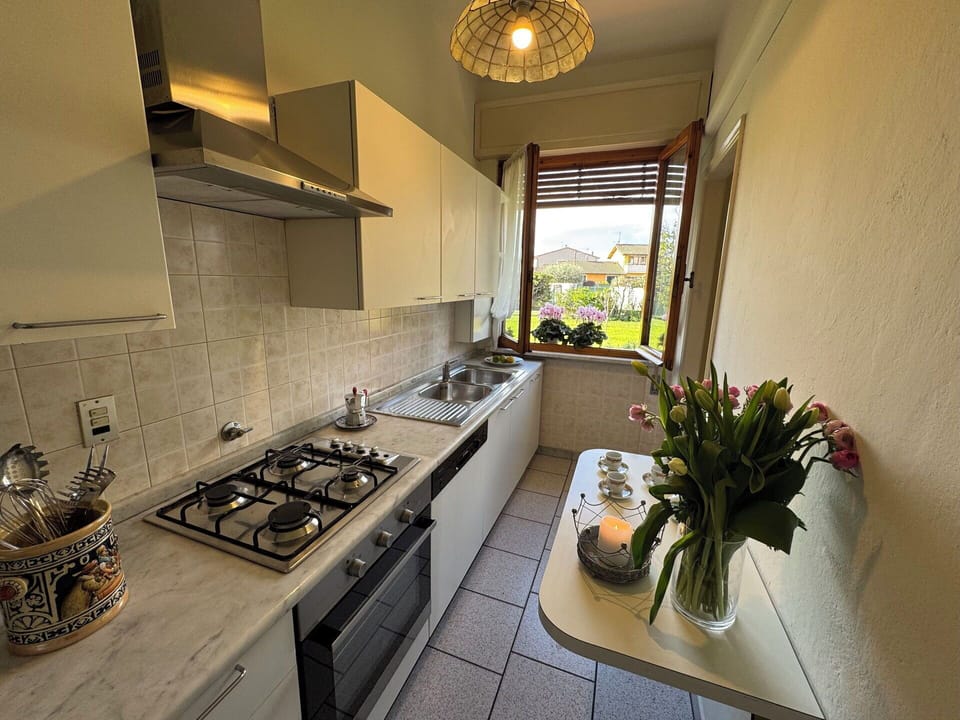 Kitchen, Kitchen Appliance, Major Appliance, Countertop, Kitchen Stove, Gas Stove, Stove, Kitchen Sink, Apartment, Cooktop