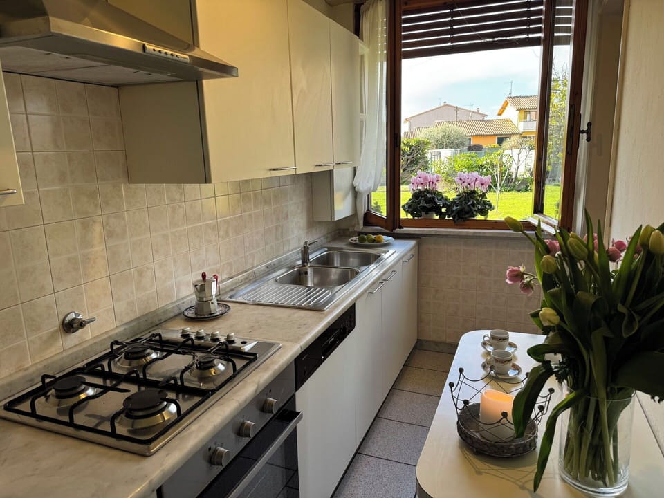 Kitchen, Kitchen Appliance, Countertop, Major Appliance, Kitchen Sink, Kitchen Stove, Stove, Gas Stove, Home Appliance, Interior Design