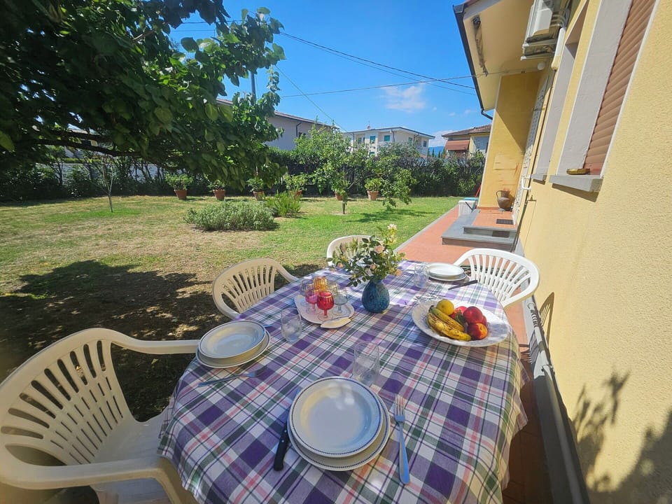 Shrub, Chair, Garden, Outdoor Furniture, Lawn, Backyard, Yard, Landscaping, Shade, Outdoor Table