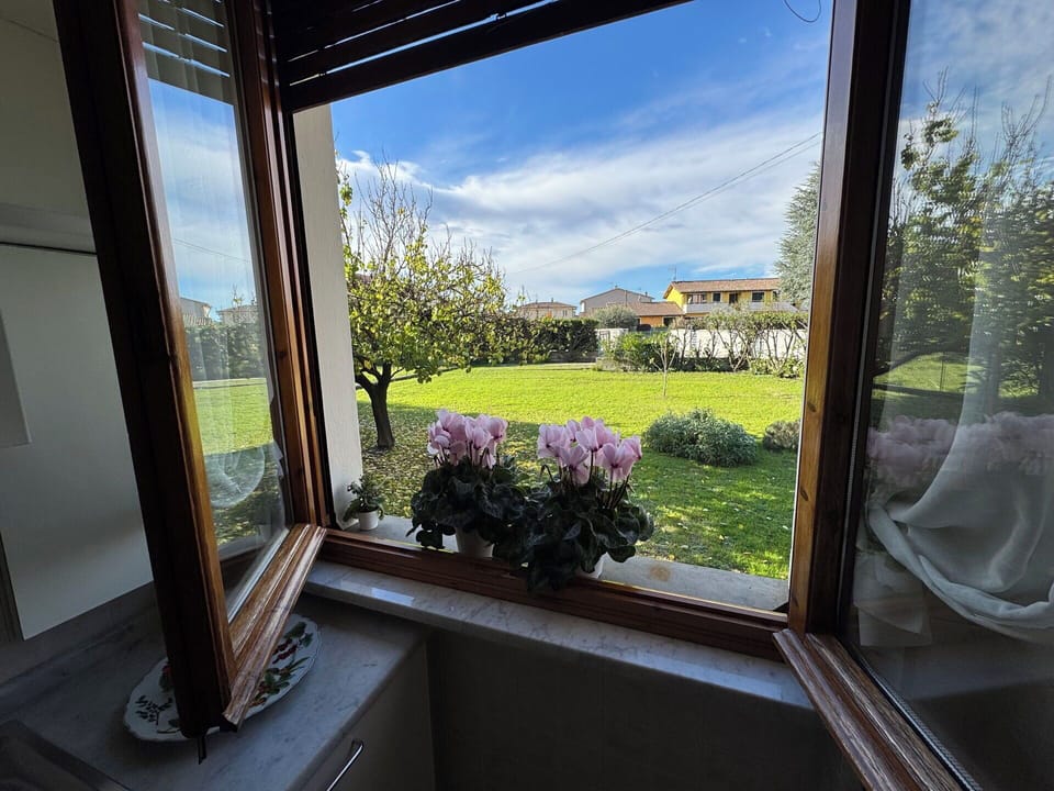 Garden, Flowerpot, Houseplant, Landscaping, Yard, Daylighting, Balcony, Backyard, Floristry