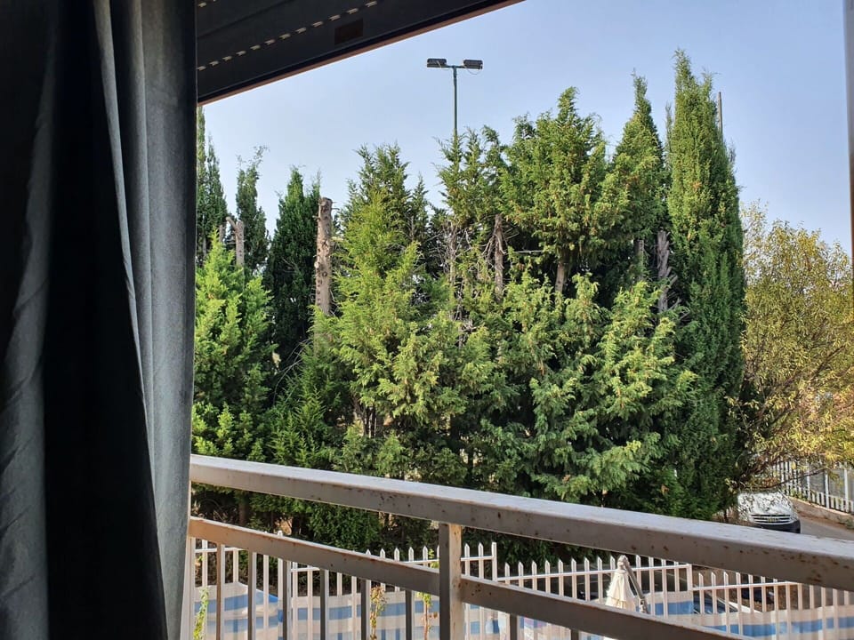 Shade, Balcony, Evergreen, Pine Family, Larch