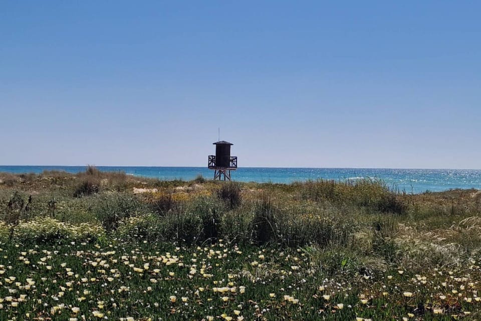 Surroundings [summer] (1-5 km)