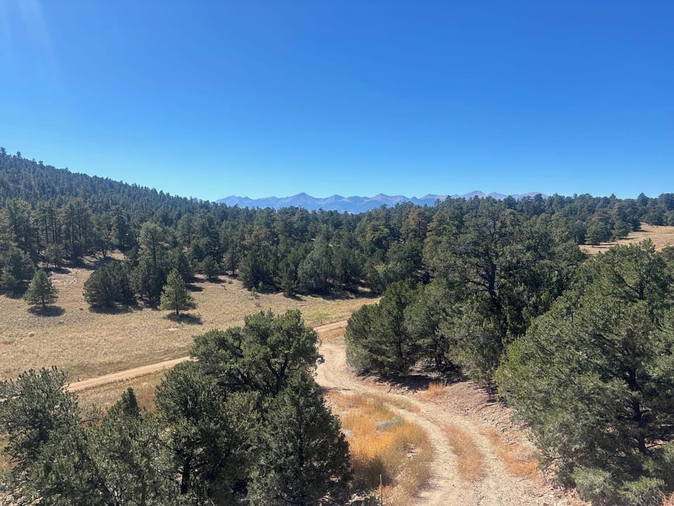 Views from the house