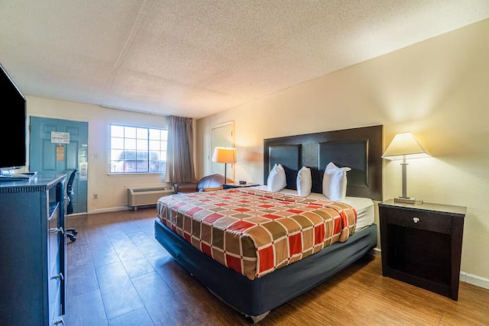 Unwind in a bright room with cozy king bed.