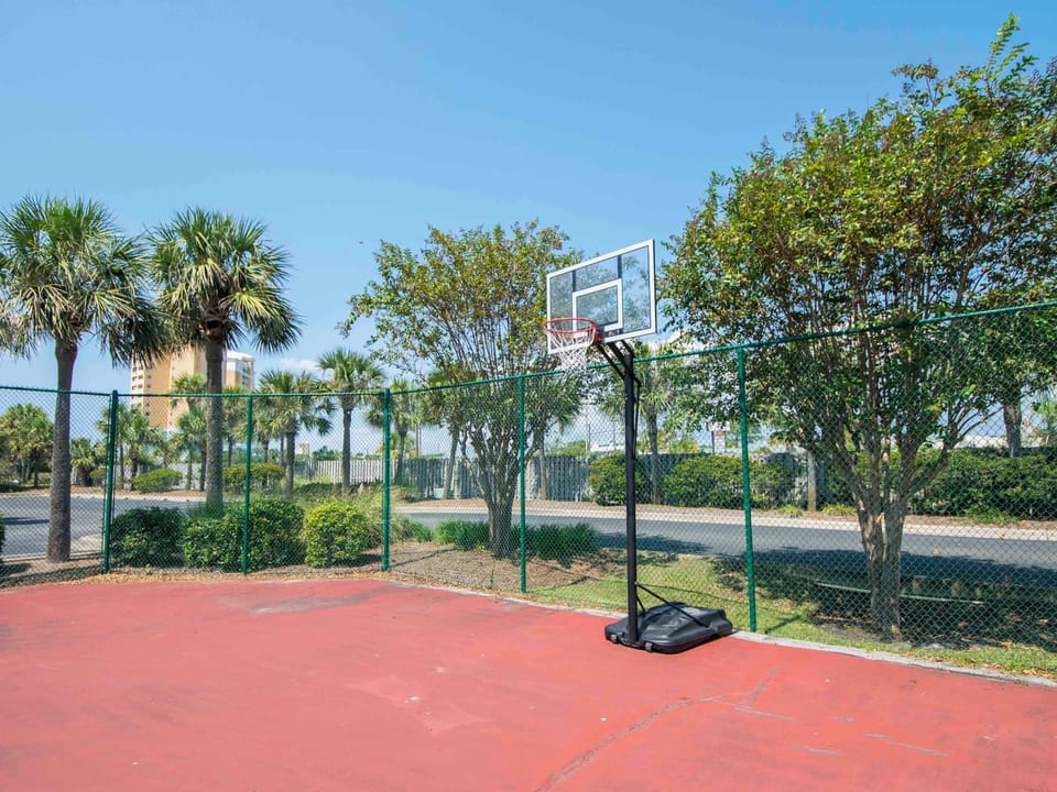 Basketball Court