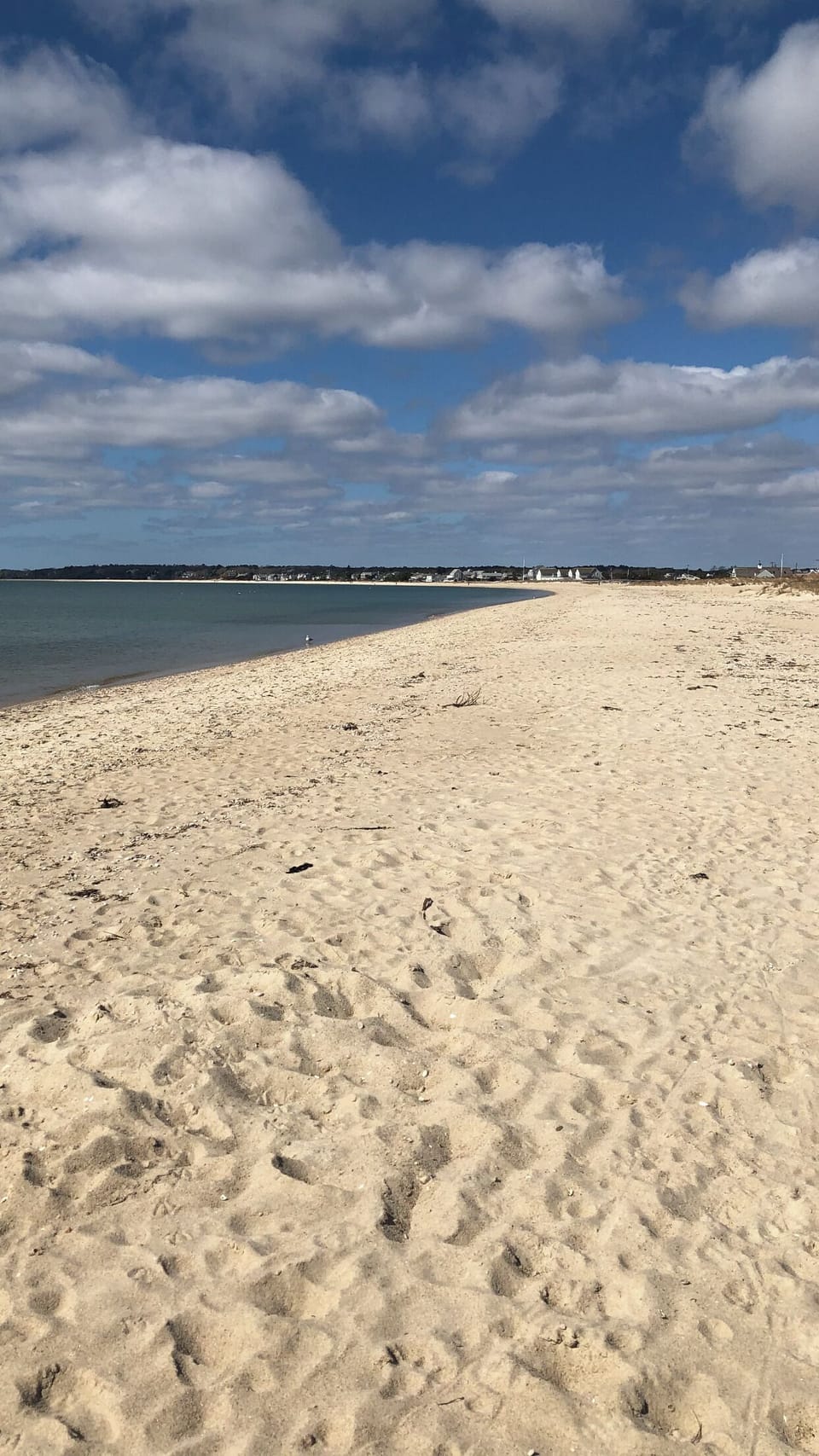 Beautiful Craigville Beach is under 1 mile from house.