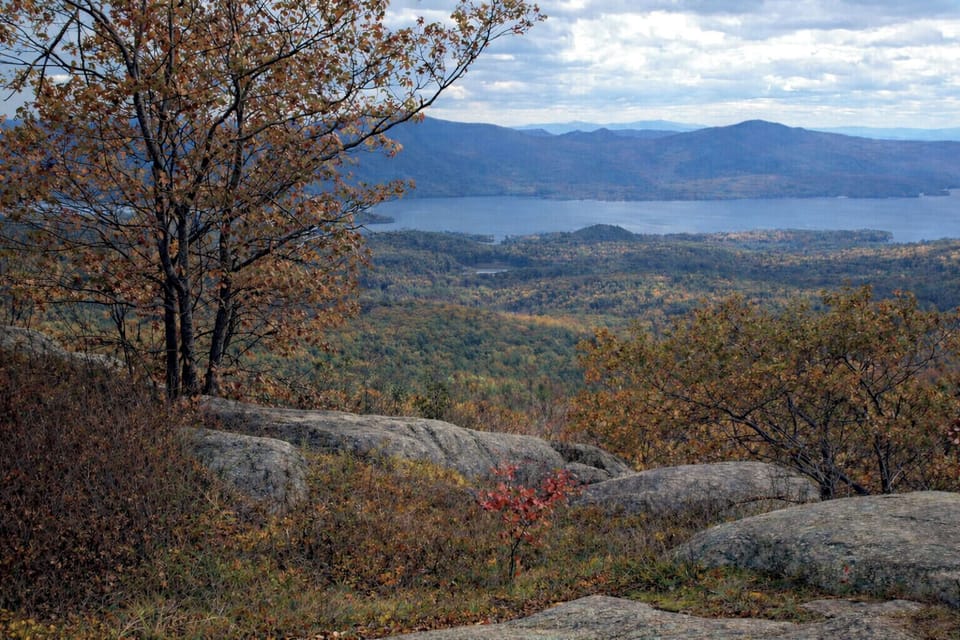 View from the top of the private hiking trail on our 48 acre property.