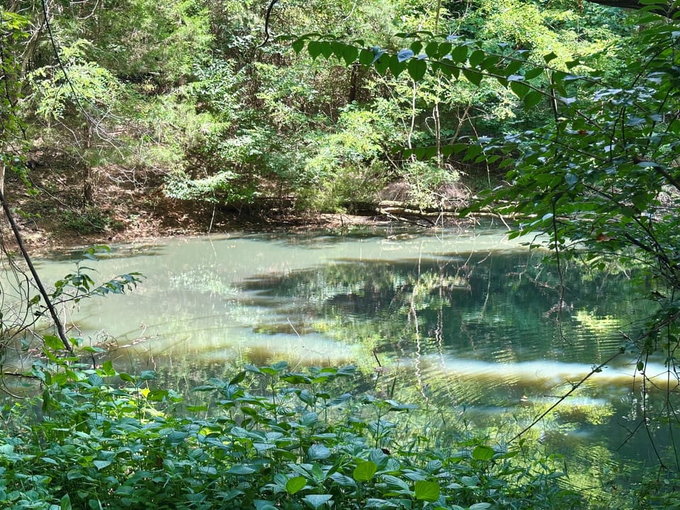 Pond