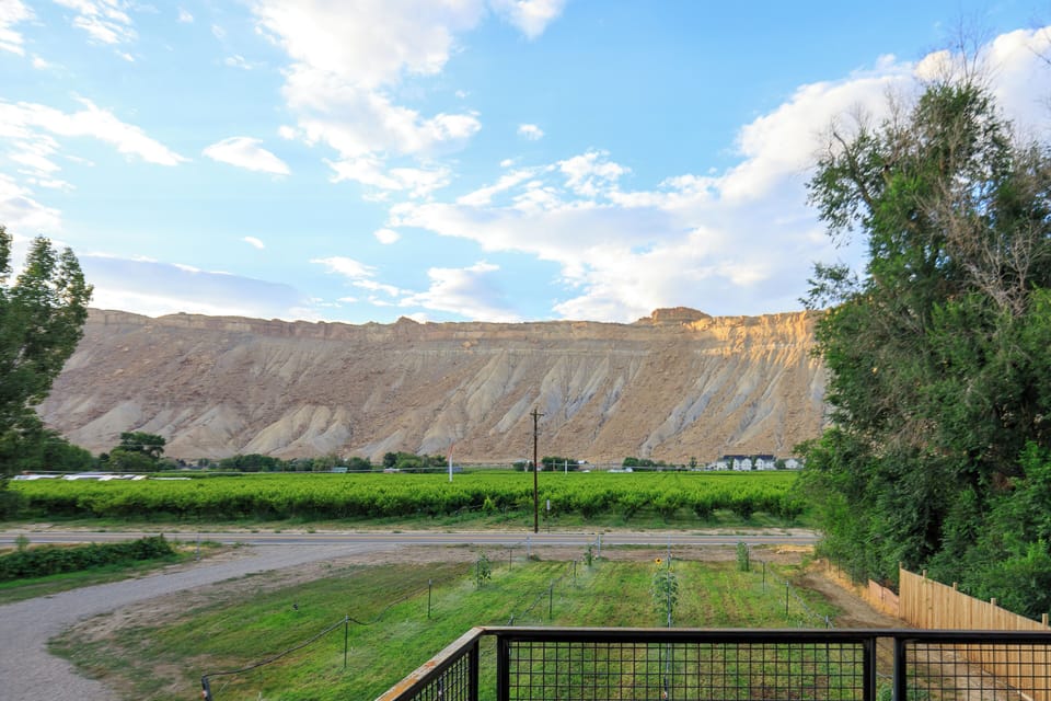 View from property