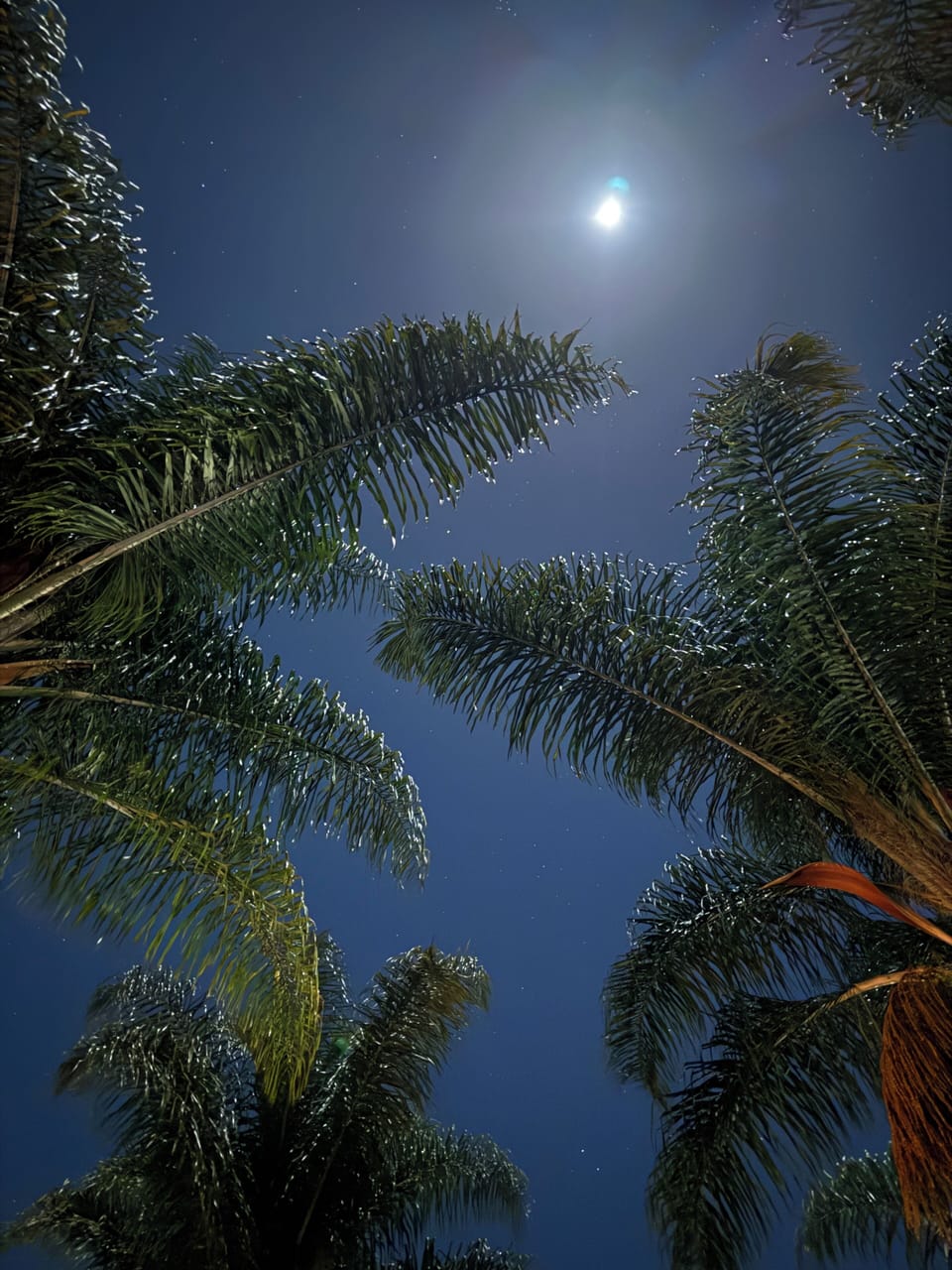 View of the night sky.