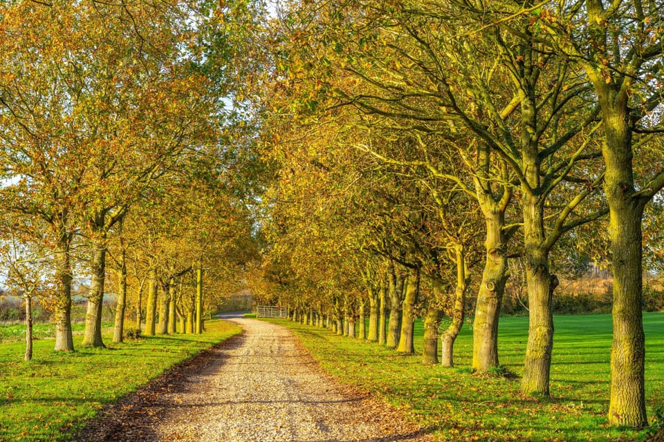 Abbey Grange Driveway