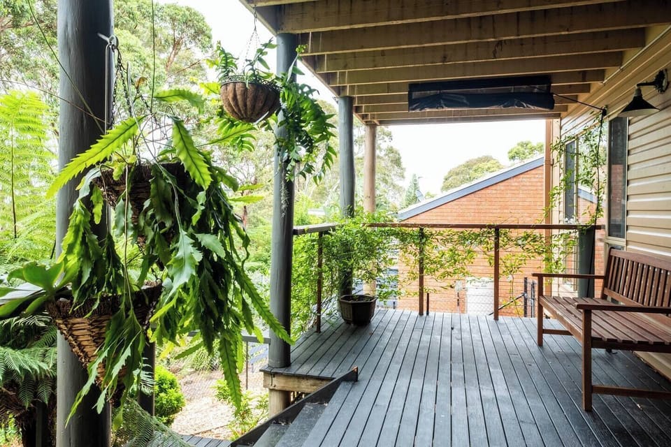 Patio 2