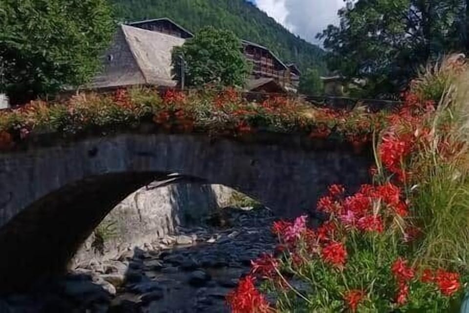 The lovely stone bridge over the Dranse rive, in front of the building