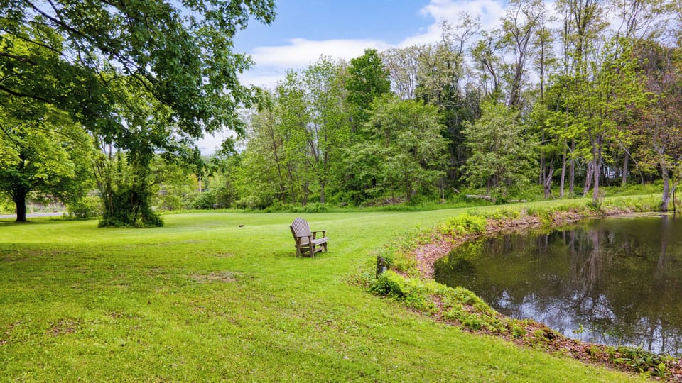 Peaceful bench by the lake — perfect for quiet moments and scenic views.