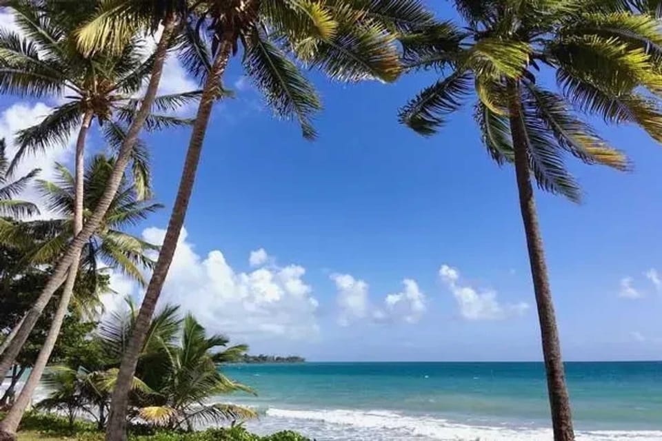 Sea view