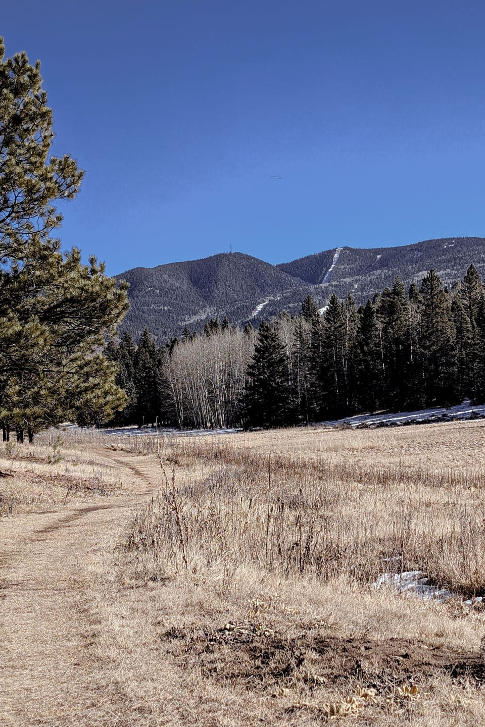 Elk Trail Greenbelt