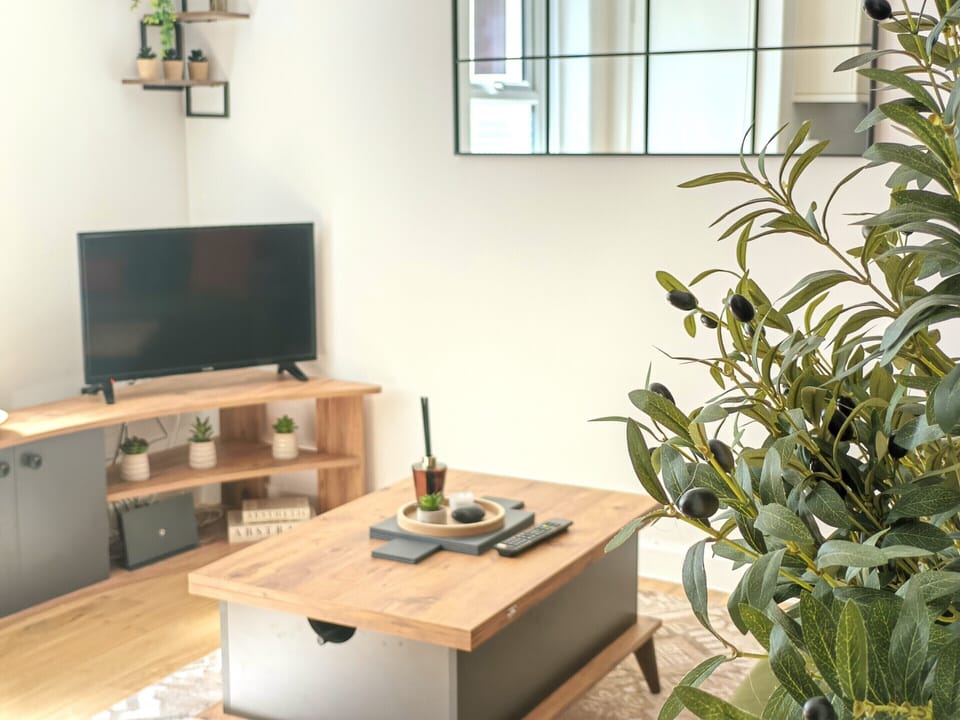 Living Room / Lounge