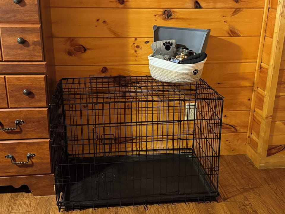 Not just pet friendly, we even provide amenities so that your fur baby feels at home too.