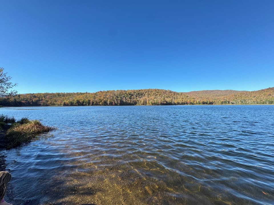 Belvidere Pond, 1mile drive