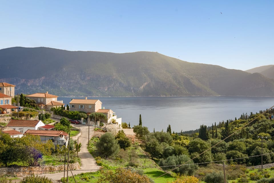 Timeless local area views