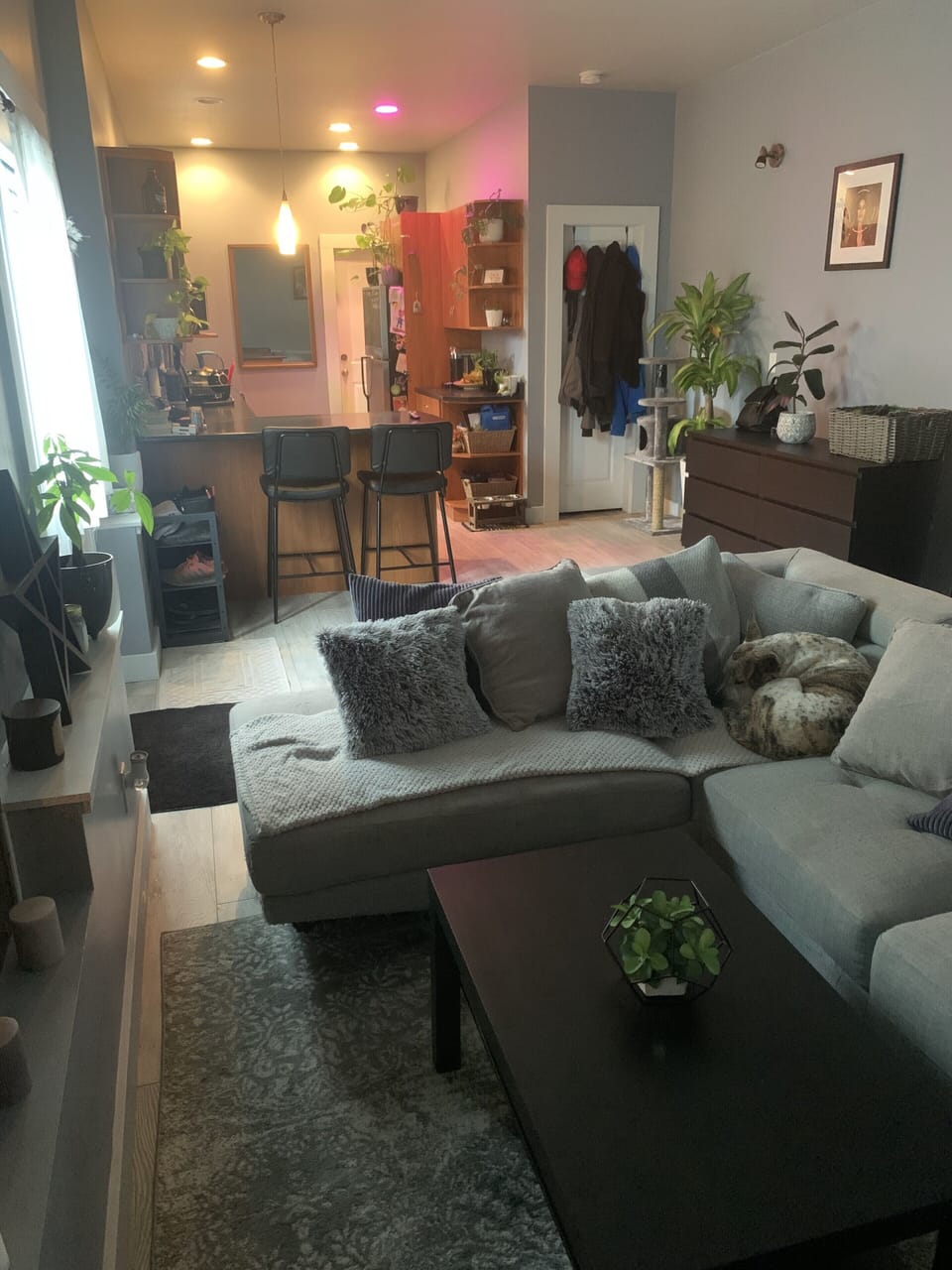 Living area