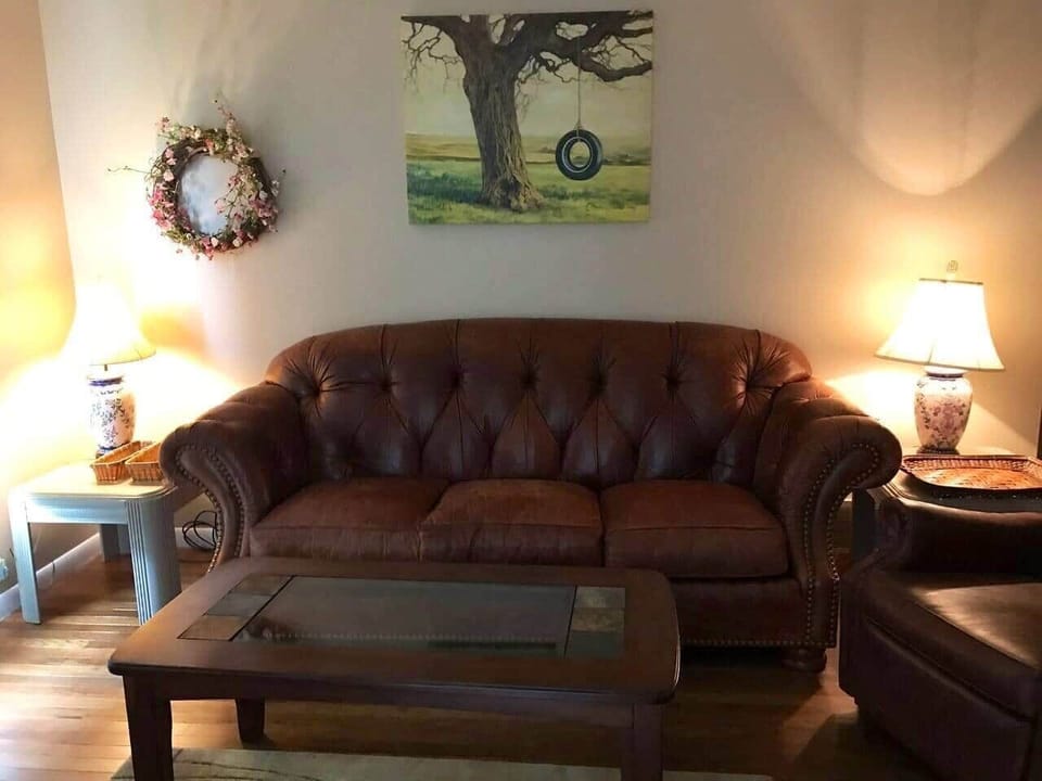 Living room TV area
