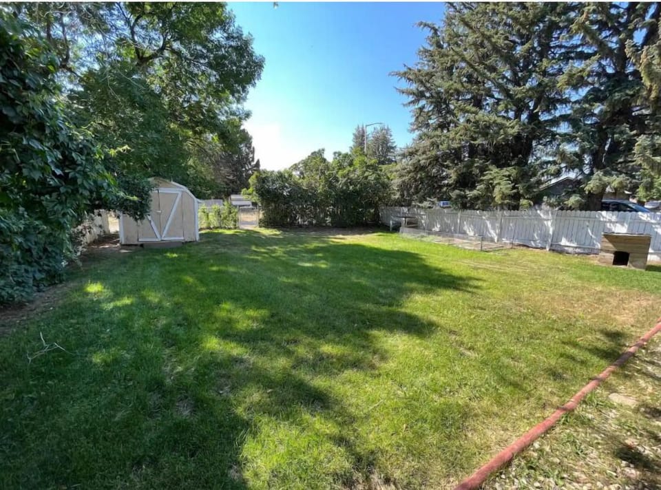 Large, private backyard oasis with plenty of space for you and your pets to roam.