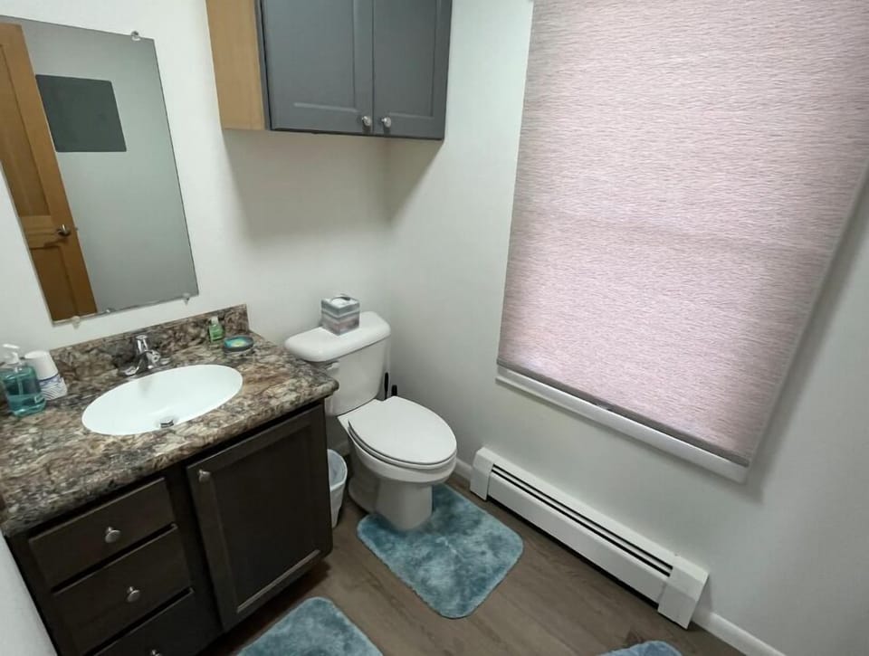 The bathroom vanity and toilet area are bright and spacious