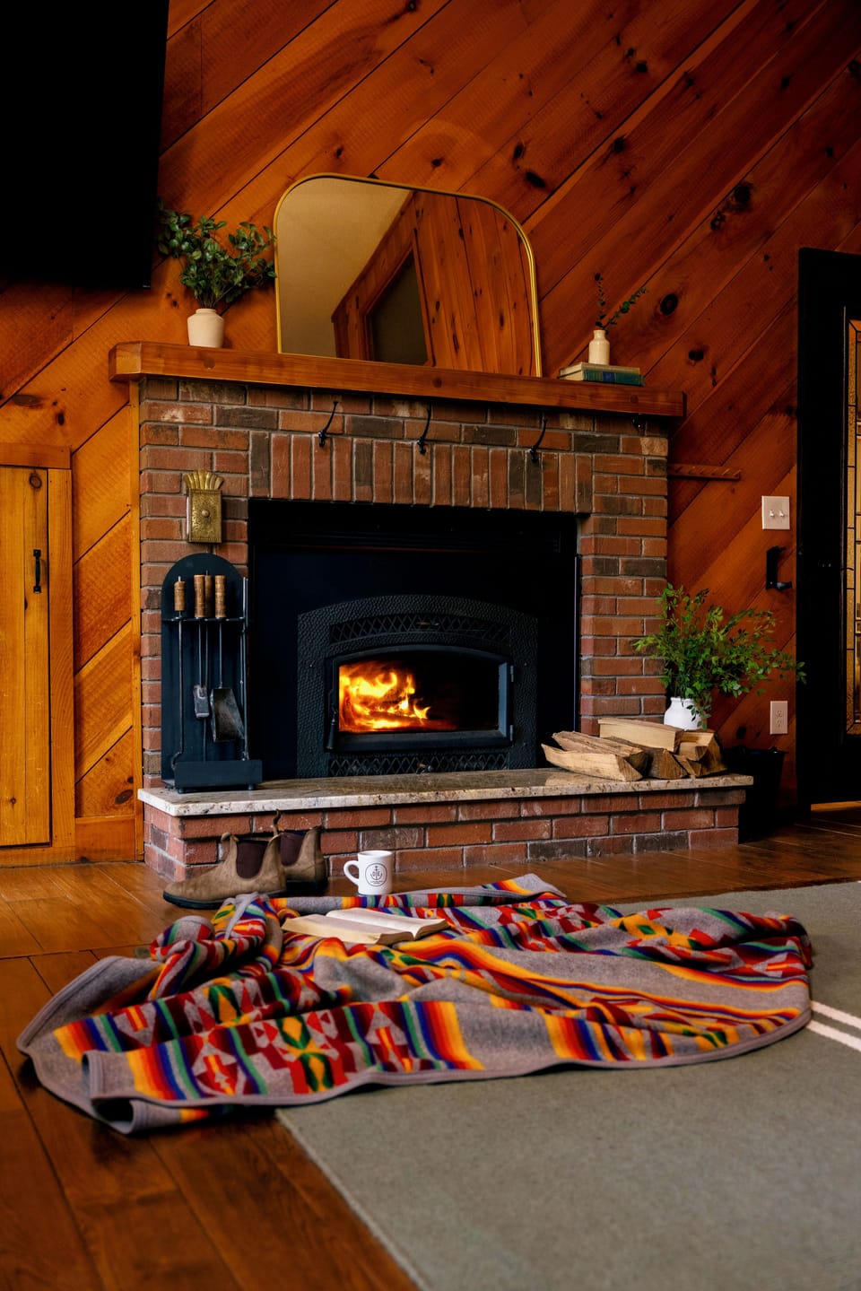 Wood-burning fireplace 
