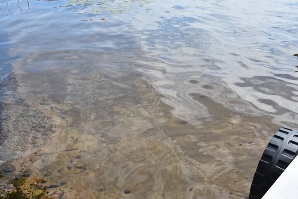 Sandy Bottom Shoreline