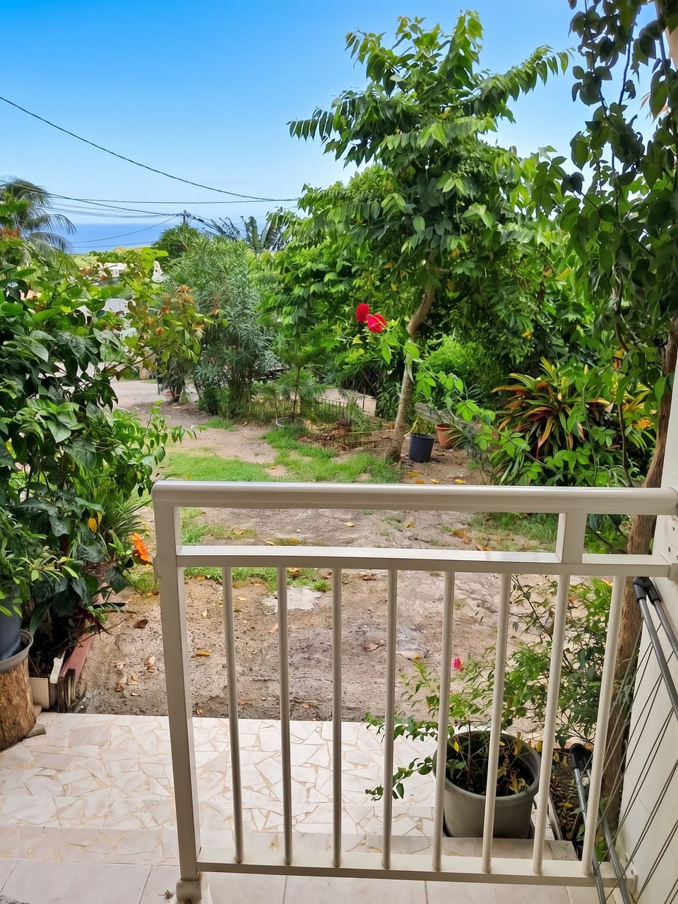 Garden view
