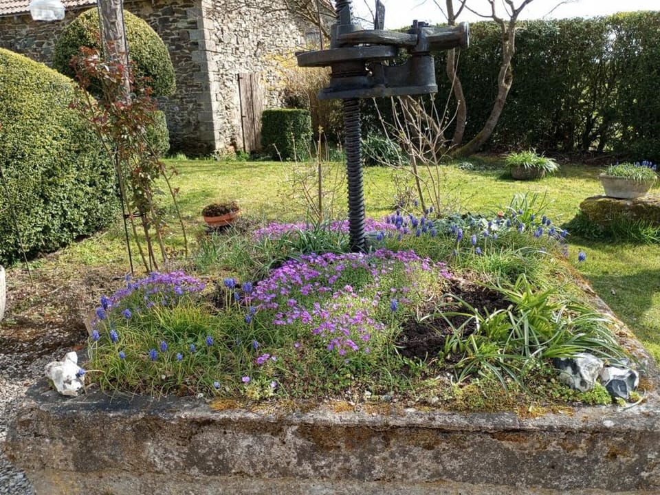 Miscellaneous