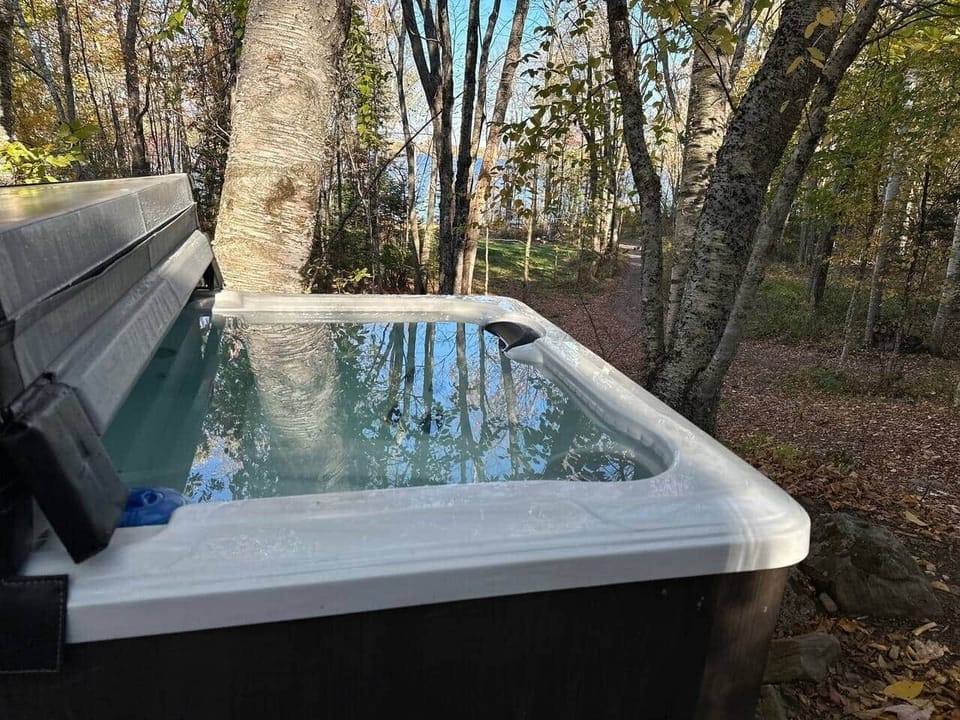 NEW Electric hot tub