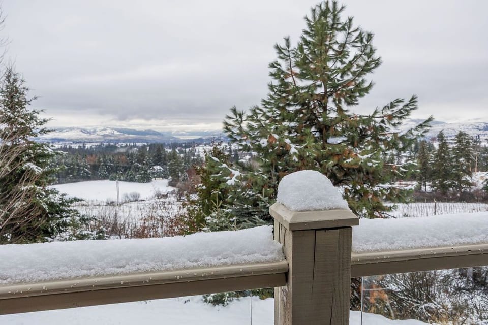 view from suite deck - winter