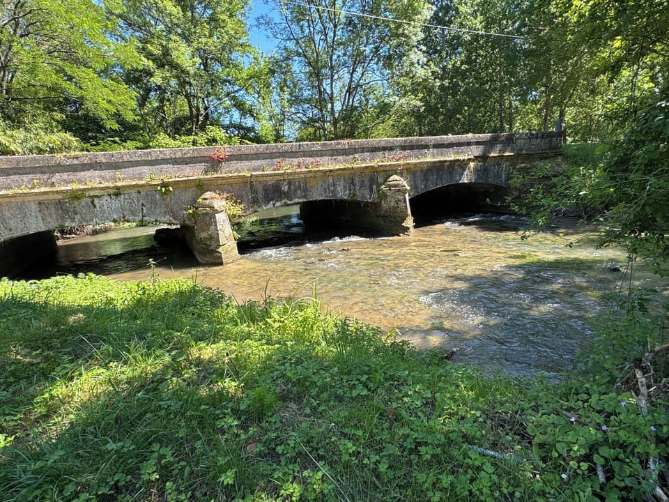 River Nizonne offering 5 km walk to next village at the bottom of the garden