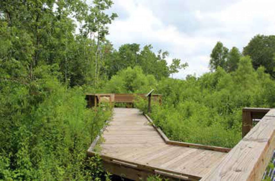 Audubon Nature Institute serves visitors, the community and the world as an educational resource, an environmental guardian, a leader in economic development and a venue for family entertainment.