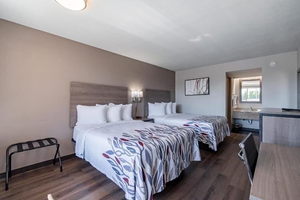 Recharge in a bright room with space to unpack.