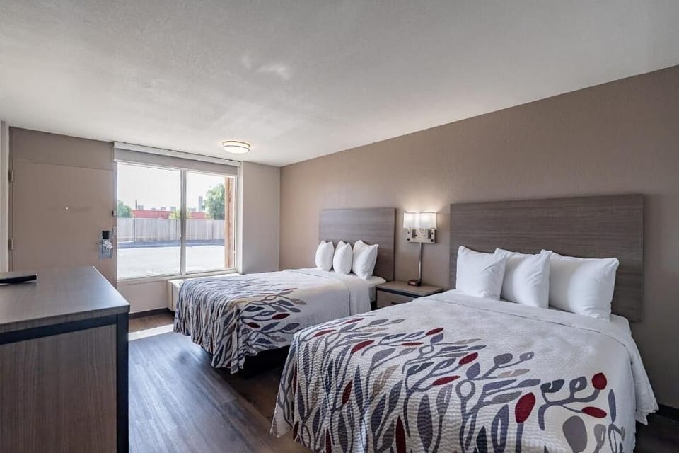 Enjoy morning light by the window in a relaxing room.