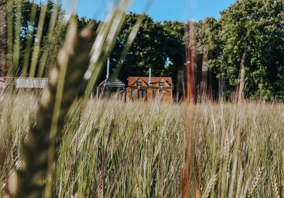 This cabin is located adjacent to a working arable field, perfect for exploring