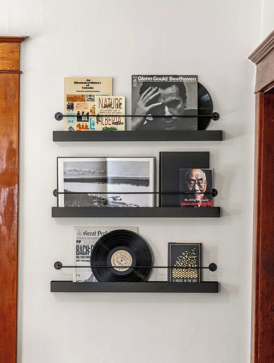 Shelving and vintage music vibes