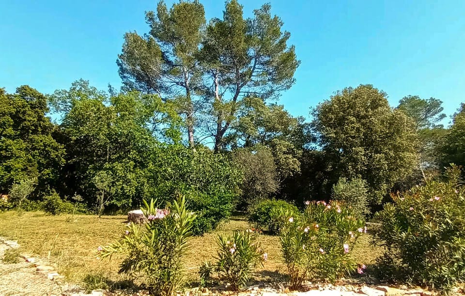 outside