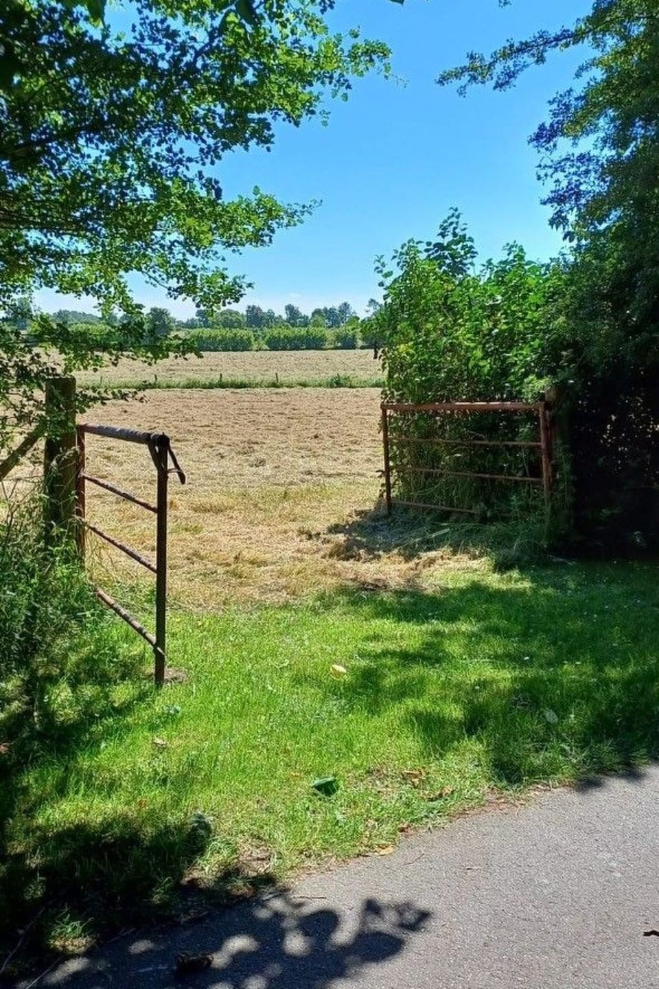 Property grounds