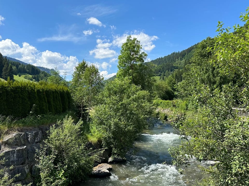 View