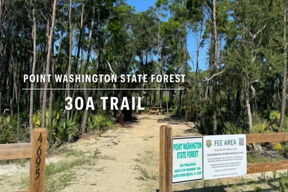 State forest trails that are great to explore